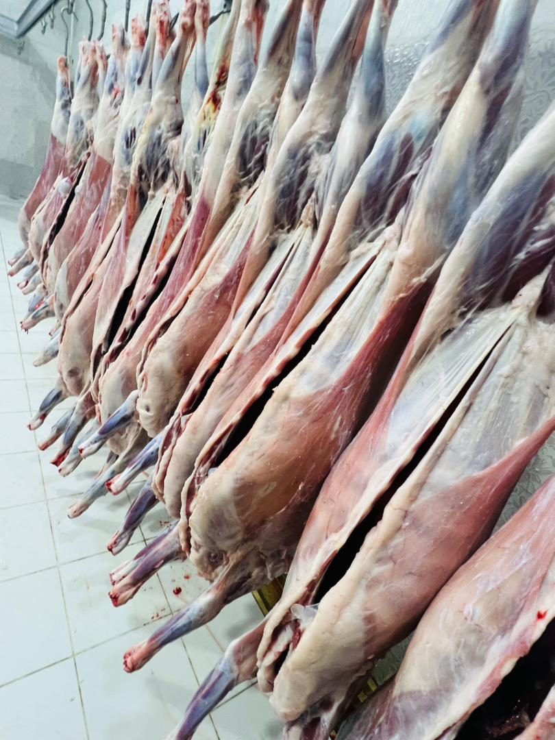 Livestock